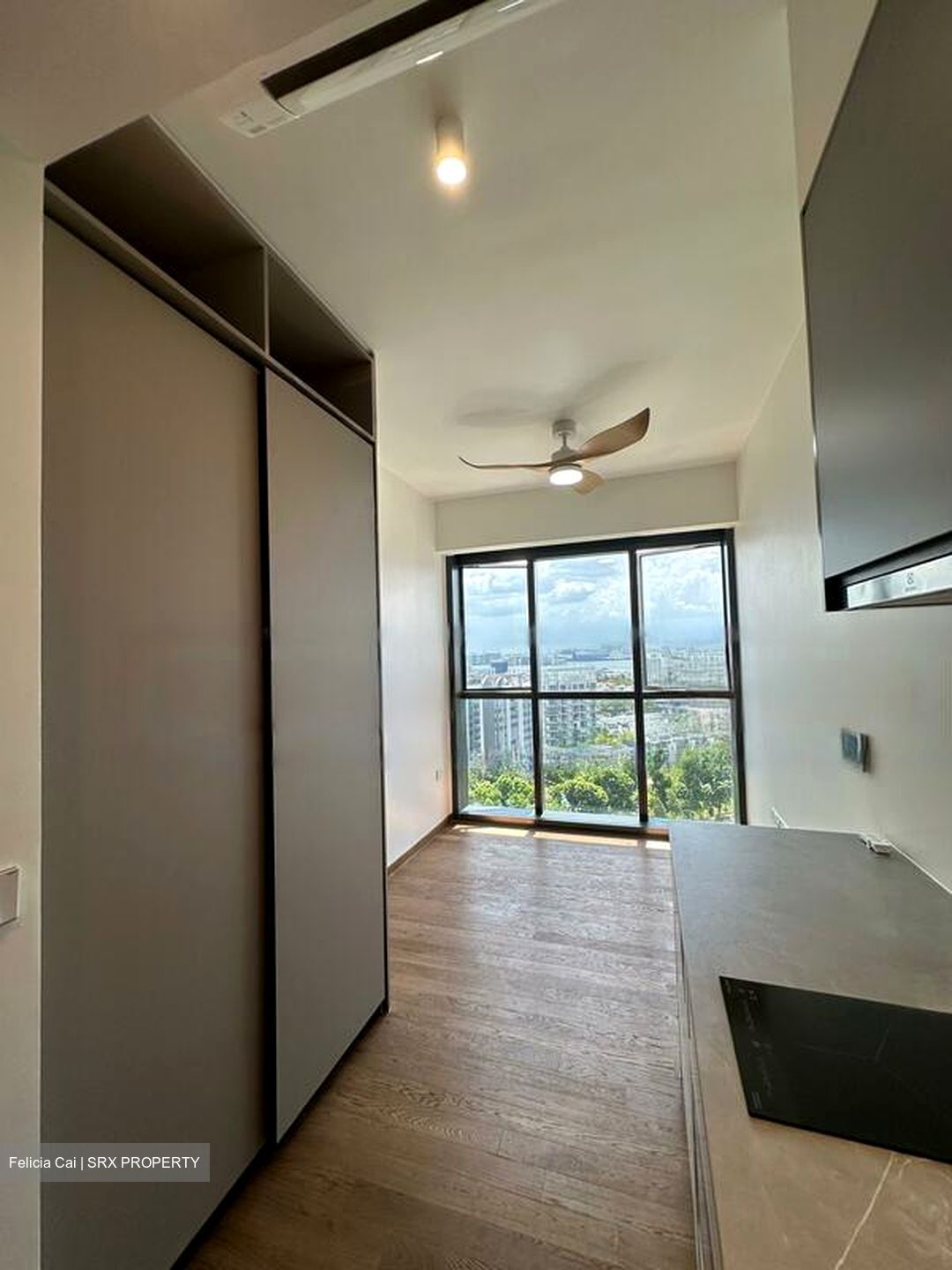 Parc Clematis (D5), Apartment #570450691